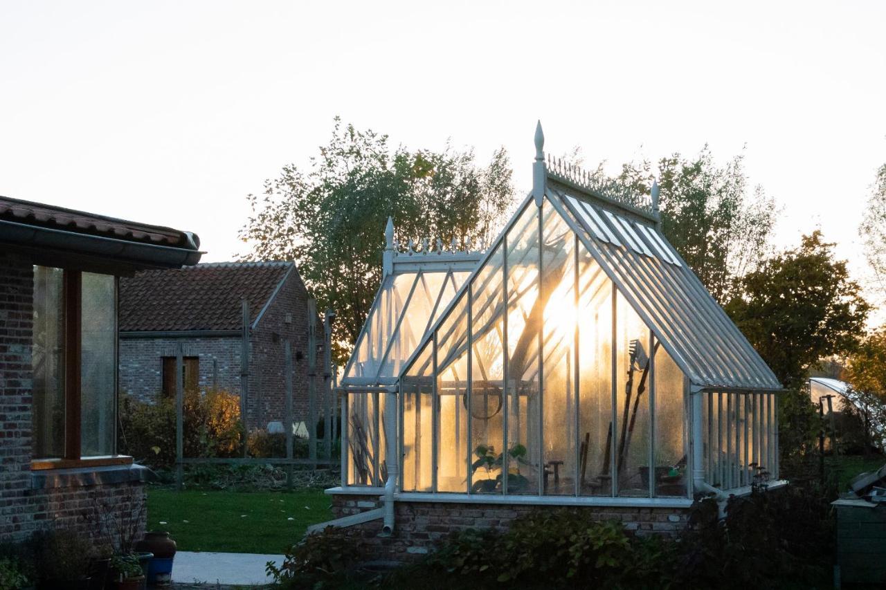De 6 Linden Boutique Hotel Sluis Bagian luar foto