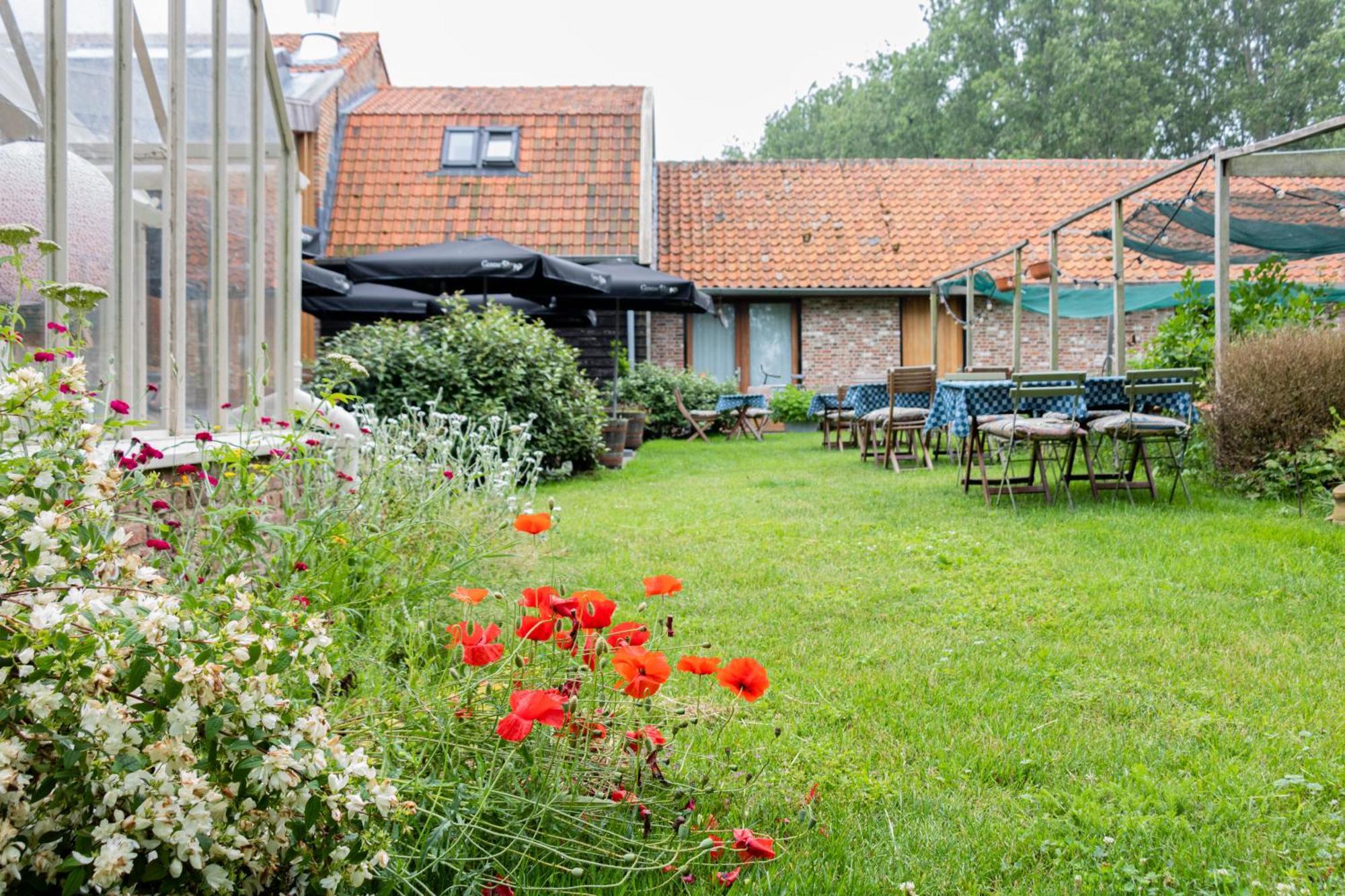 De 6 Linden Boutique Hotel Sluis Bagian luar foto